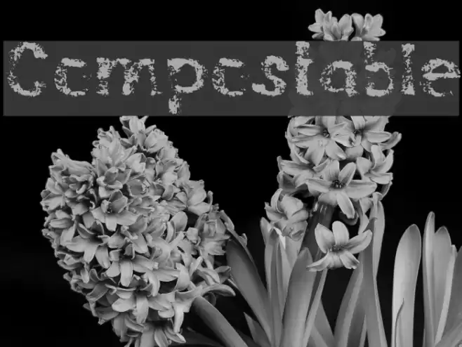Compostable フォント examples
