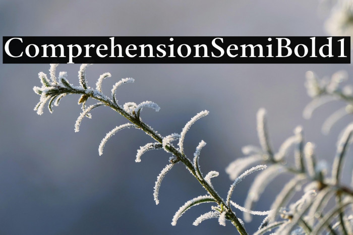 Comprehension-SemiBold1 Example 1
