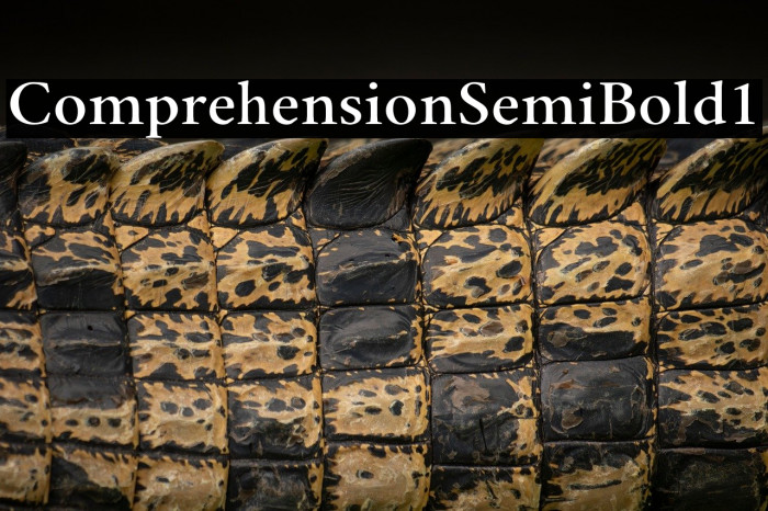 Comprehension-SemiBold1 Example 2