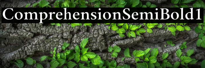 Comprehension-SemiBold1 Example 3