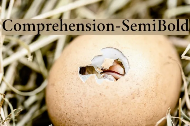 Comprehension-SemiBold Example 1