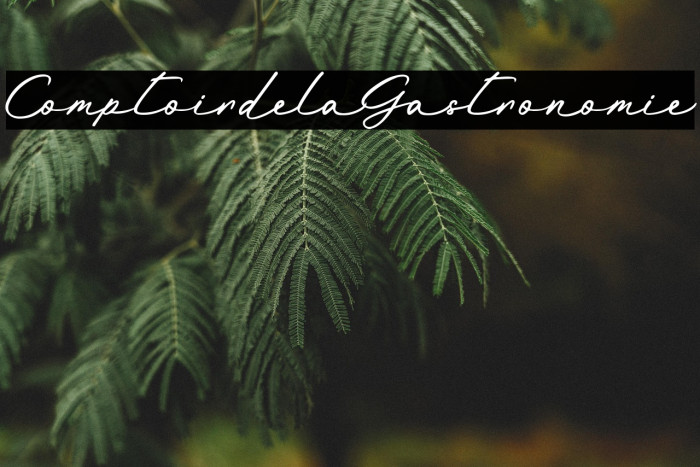 Comptoir de la Gastronomie Example 3