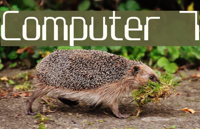 Computer 7 Font examples