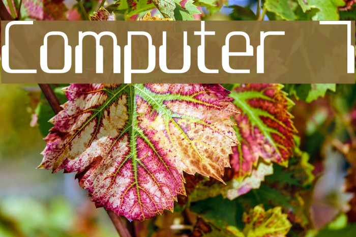 Computer 7 Font examples