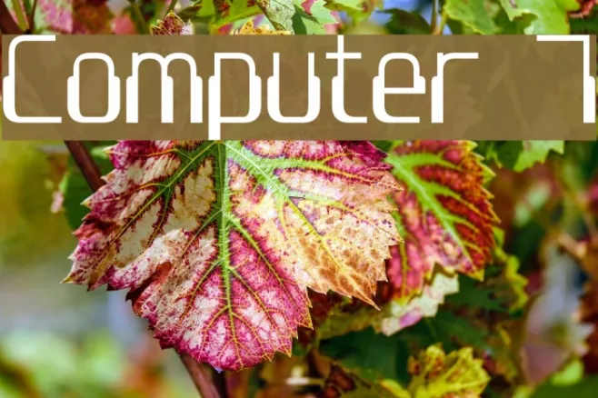 Computer 7 Example 2