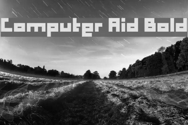Computer Aid Bold Font examples