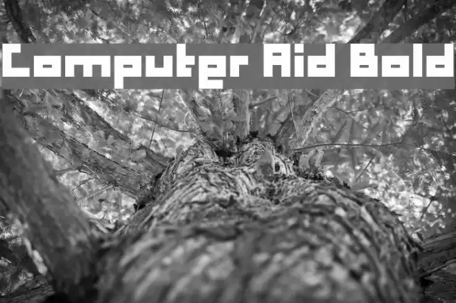 Computer Aid Bold Font examples