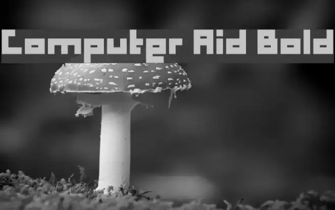 Computer Aid Bold Font examples