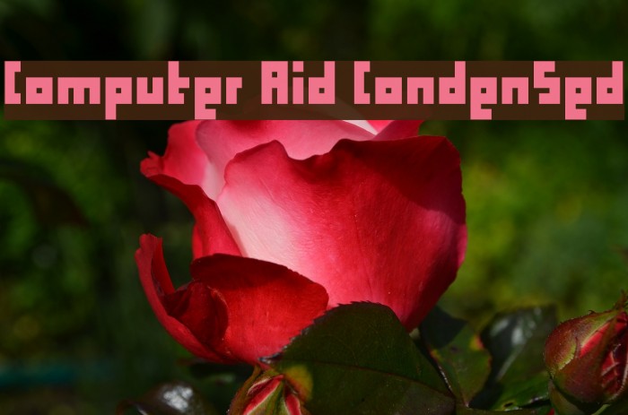 Computer Aid Condensed Font examples