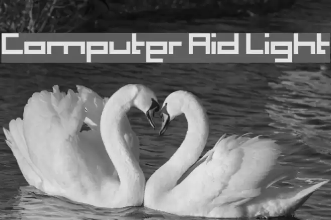 Computer Aid Light Font examples