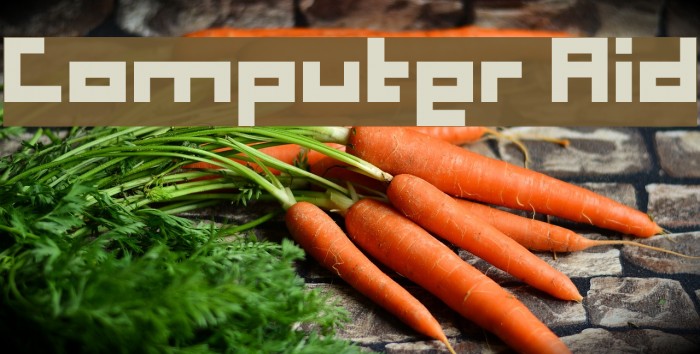 Computer Aid Example 1