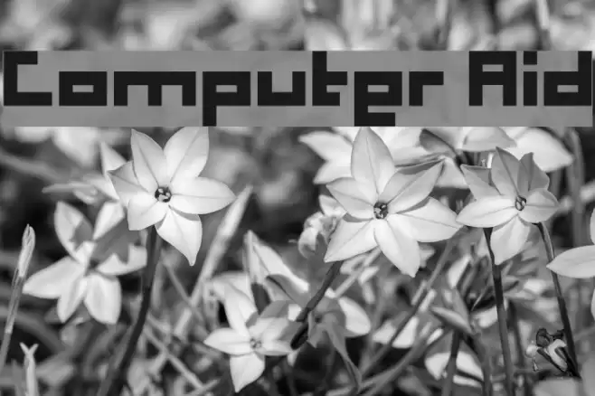 Computer Aid Font examples