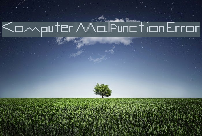 Computer Malfunction Error Example 1