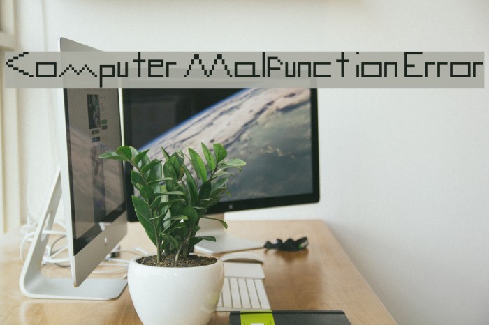 Computer Malfunction Error Example 2