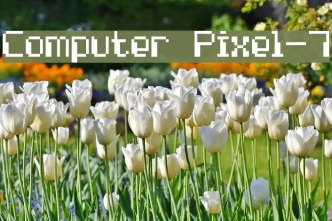 Computer Pixel-7 Example 3