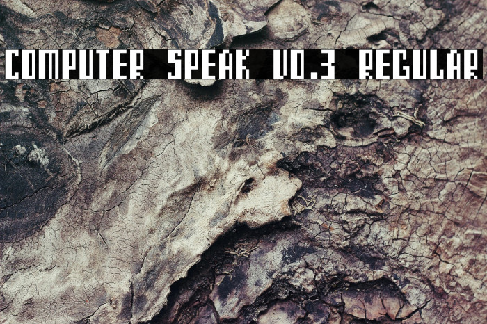 Computer Speak v0.3 Regular Example 3