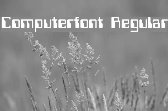 Computerfont Regular Schriftart examples