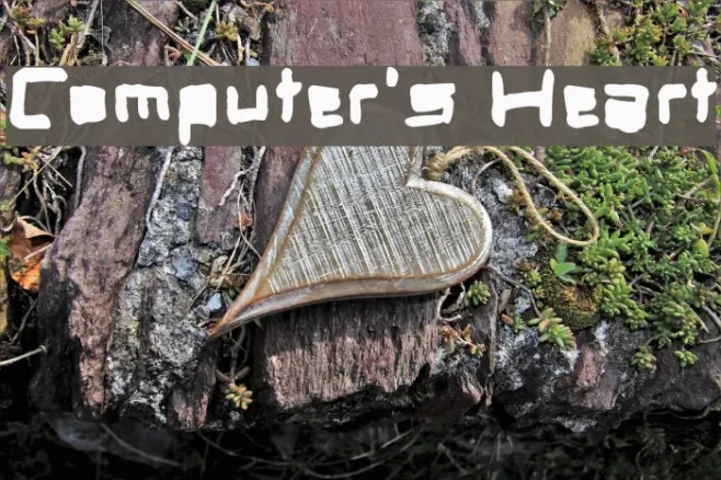 Computer's Heart Example 2