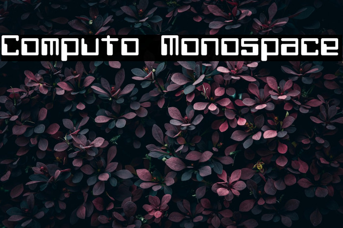 Computo Monospace Example 1