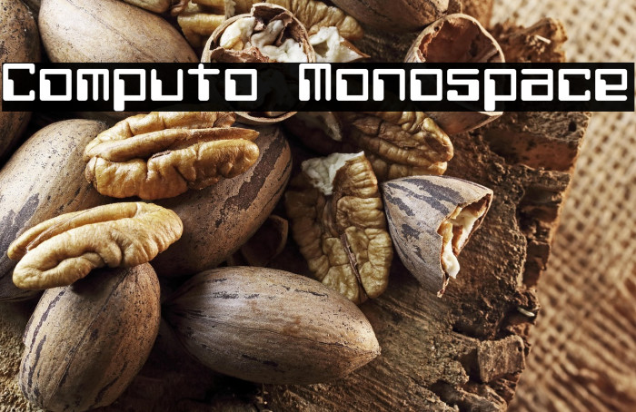 Computo Monospace Example 2