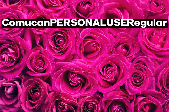 Comucan PERSONAL USE Regular Example 1