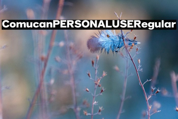 Comucan PERSONAL USE Regular Example 2