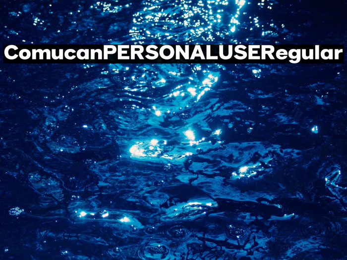 Comucan PERSONAL USE Regular Example 3