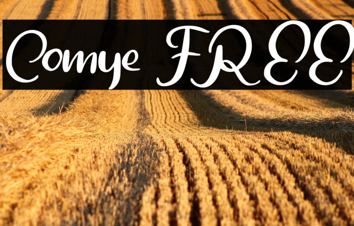 Comye FREE Example 1