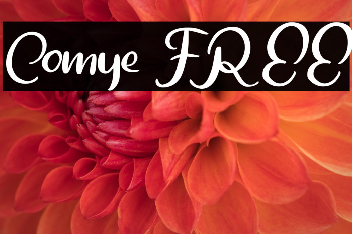 Comye FREE Example 3