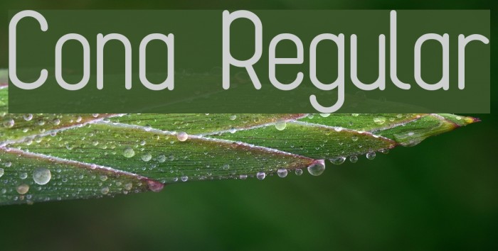 Cona Regular Font examples