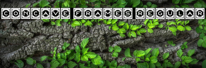 Concave Frames Regular Example 2