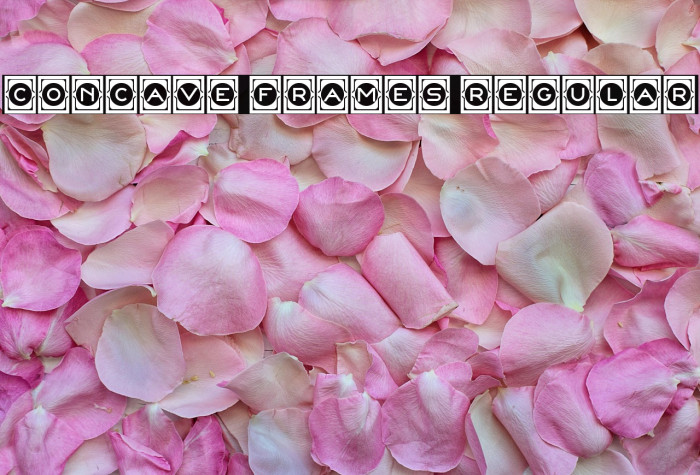 Concave Frames Regular Example 3