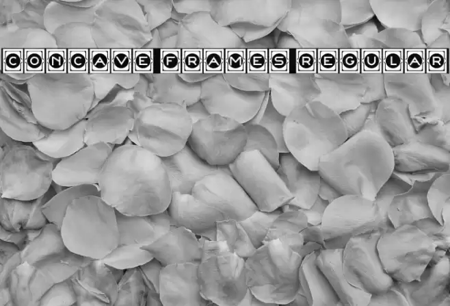 Concave Frames Regular 字体 examples