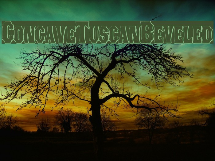 ConcaveTuscanBeveled Font examples