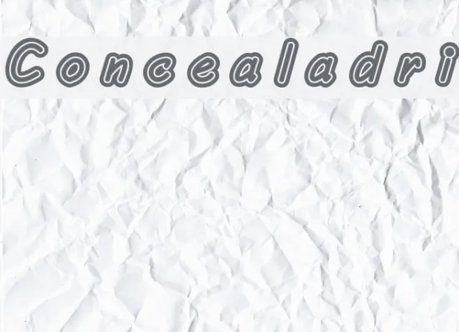 Concealadri Example 1