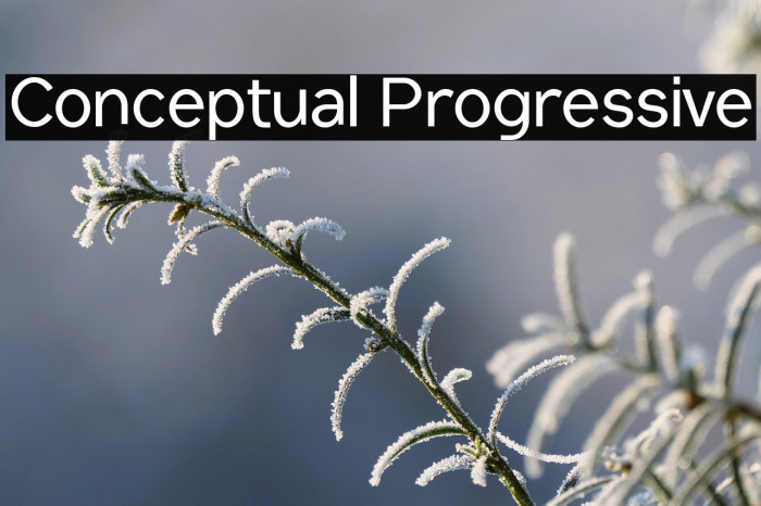 Conceptual Progressive Example 3