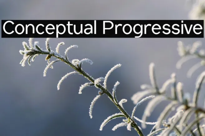 Conceptual Progressive Example 3