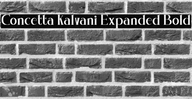 Concetta Kalvani Expanded Bold Polices examples