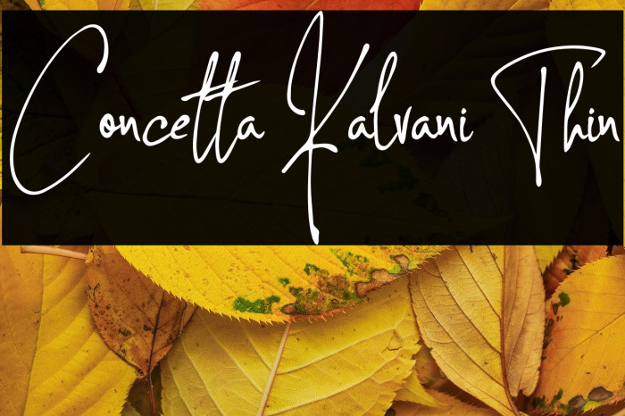 Concetta Kalvani Thin Example 3