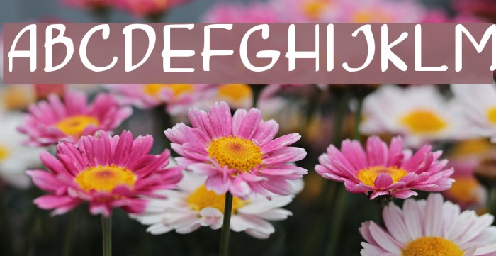 Concetta Font examples