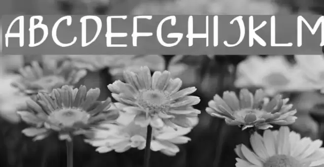 Concetta Шрифта examples