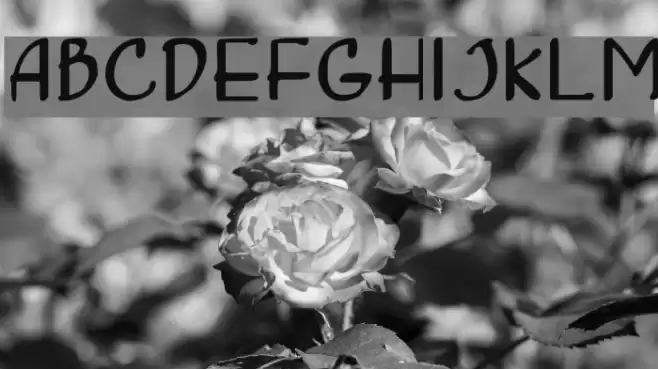 Concetta Шрифта examples