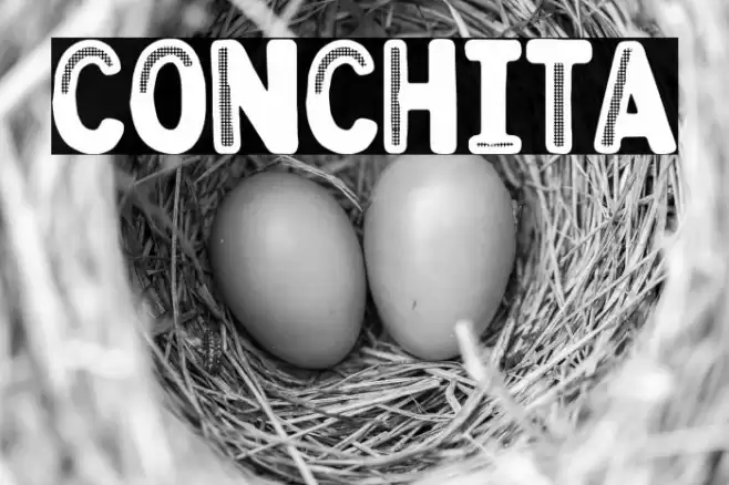 Conchita Font examples