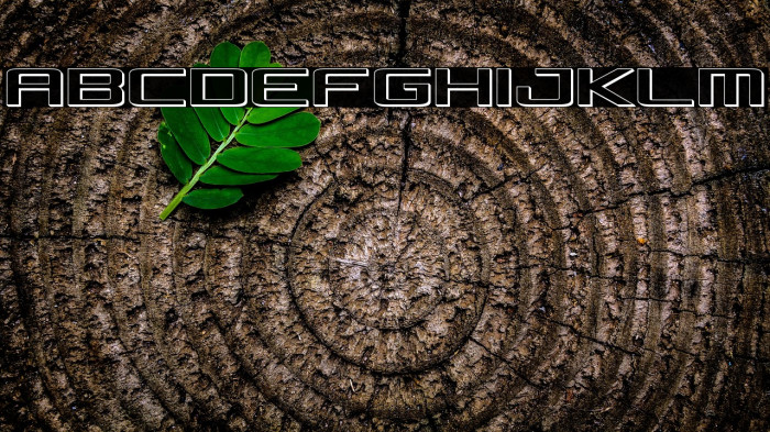 Concielian 3D Example 3