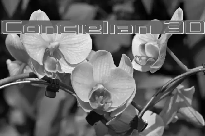 Concielian 3D examples