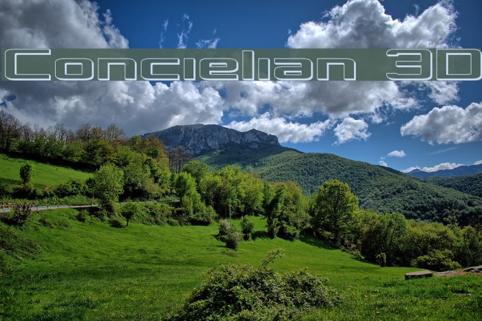 Concielian 3D Polices examples