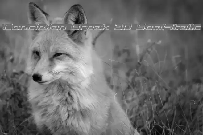 Concielian Break 3D Semi-Italic Polices examples
