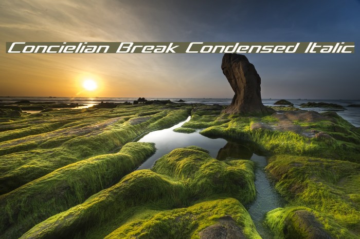 Concielian Break Condensed Italic Font examples