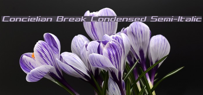 Concielian Break Condensed Semi-Italic Example 3