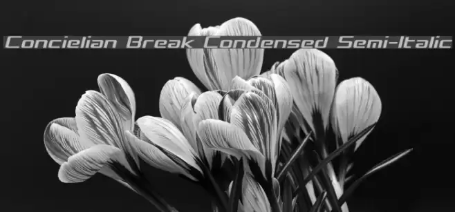 Concielian Break Condensed Semi-Italic  examples